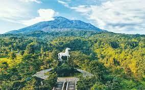 Kebun raya kuningan | Kebun Botani Terunik