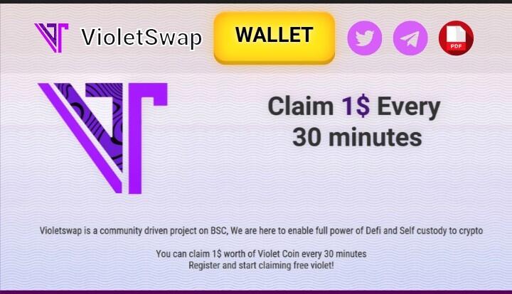 VioletSwap Project.