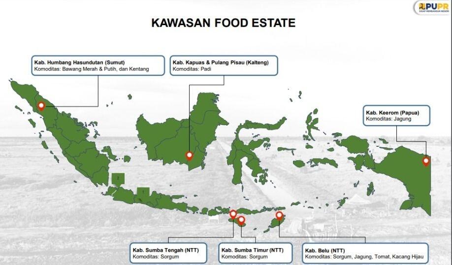 Food Estate Jokowi Mendadak Disebut Palsu, Lokasinya di Sini

