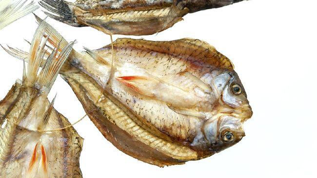 Makan Ikan Asin Bisa Sebabkan Kanker? Cek, Ini Dia Fakta yang Perlu Untuk Diketahui