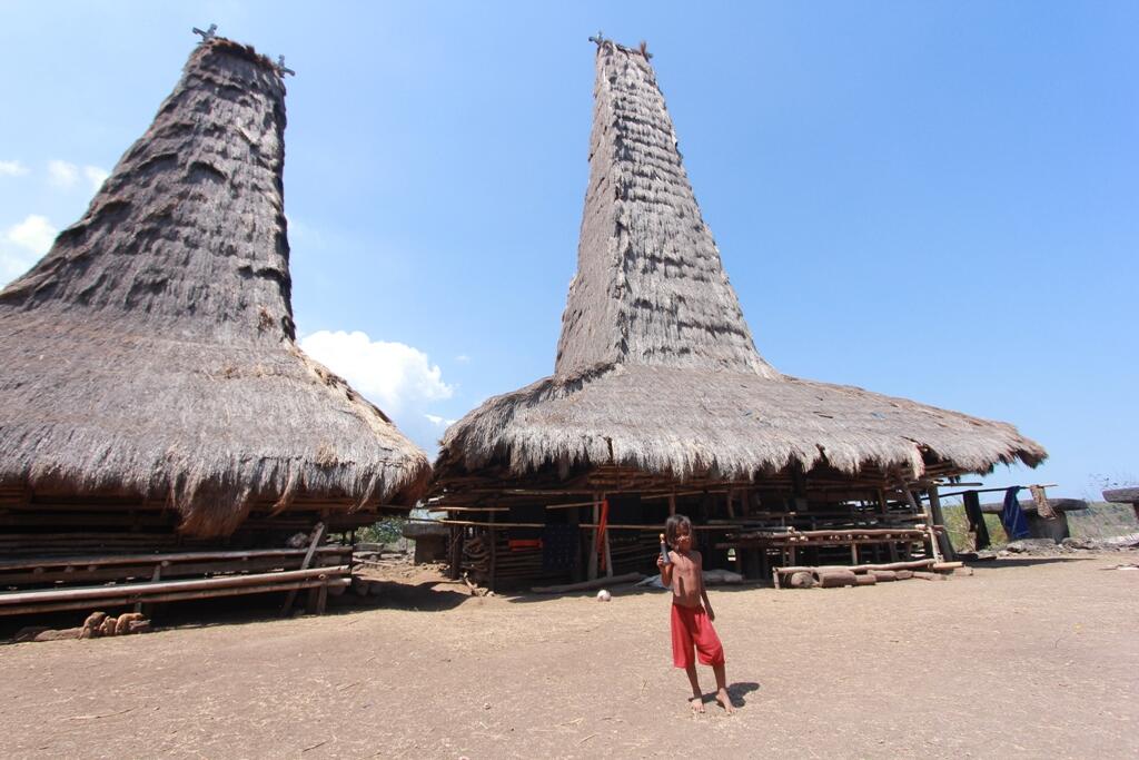 Desa Adat Ratenggaro, Destinasi Wisata Adat dan Sejarah di Pulau Sumba.
