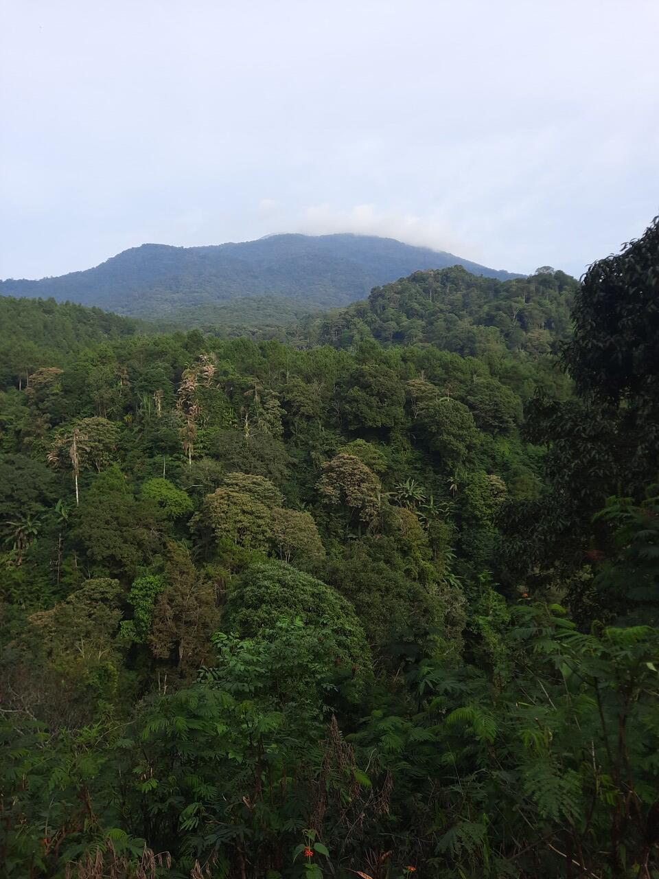 Curug Cisurian, Keindahan Tersembunyi di Kabupaten Kuningan.