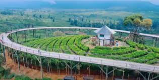 Nimo Highland | Tempat Wisata Baru di Pangalengan, Bandung