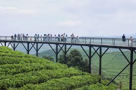 Nimo Highland | Tempat Wisata Baru di Pangalengan, Bandung