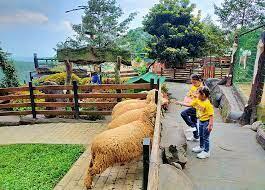 The Farm Pancawati Bogor | Tempat Wisata Menyenangkan di Bogor