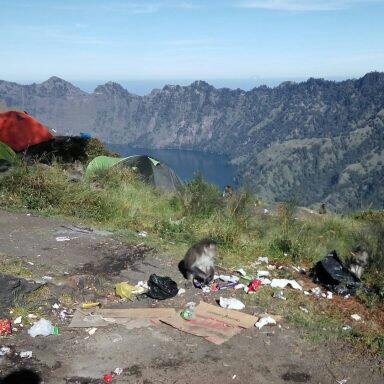 Kembali Mendonia, Kebanyakan Sampah Plastik Seychelles Afrika Berasal Dari Indonesia!