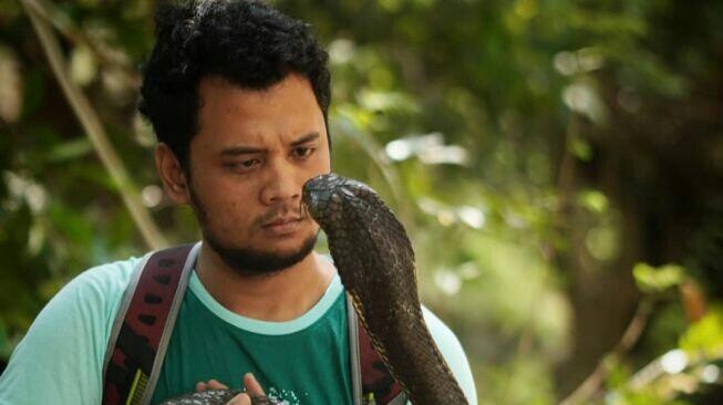 6 Jenis Ular Sering Masuk Pemukiman, Cara Ampuh Mengusirnya Menurut Panji Petualang!