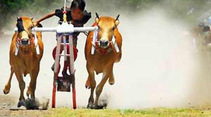 23 Hal Menarik tentang Madura, Bikin Agan Makin Kenal Madura