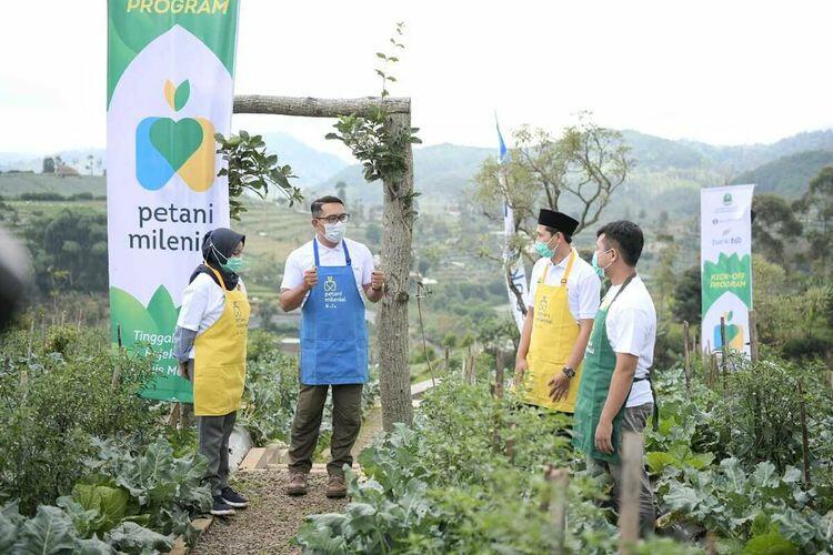 Petani Milenial Jabar Terlilit Utang, Panen Tak Dibayar