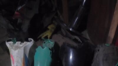 Jenis spakbor motor manfaat dan harganya