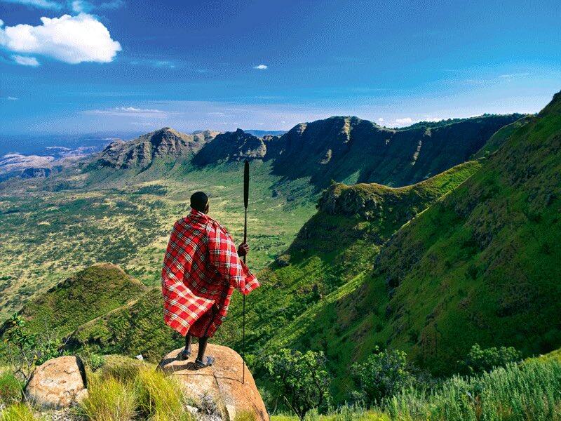 Penemuan Menakjubkan dan Lucu di Negara Wakanda: Pohon-pohon Berbicara!