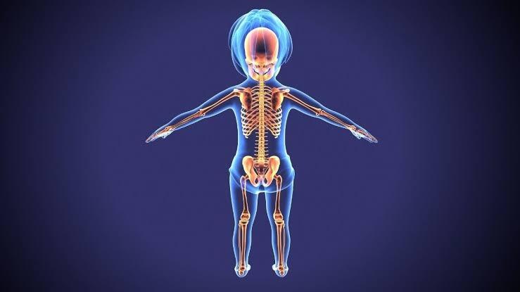 3 Fakta Yang Belum Anda Ketahui || Nomer 3 Tentang Anak.