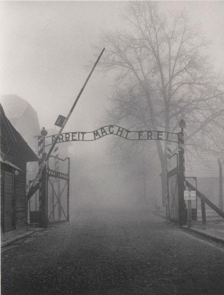 Menggapai Secercah Harapan Di Kamp Holocaust