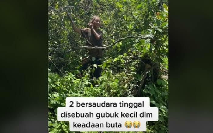 Dua Orang Lansia Buta Tinggal di Hutan Bali, Apa Sebabnya?