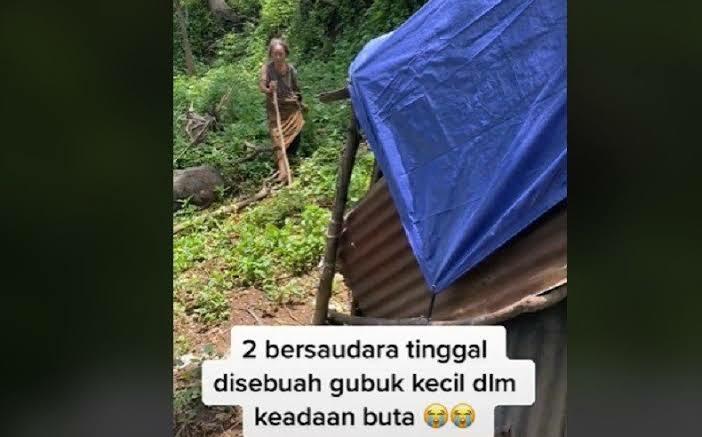 Dua Orang Lansia Buta Tinggal di Hutan Bali, Apa Sebabnya?