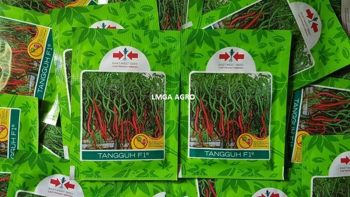 Cabe Keriting Tangguh F1 - Benarkah Ini Varietas Terbaik untuk Pertanian?