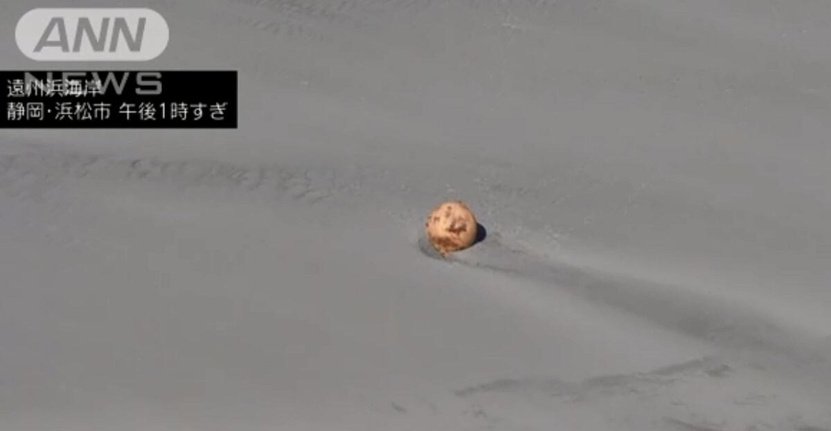 Geger! 'Bulan' Mini Terdampar di Pantai Jepang