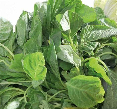 Manfaat Bayam untuk Kesehatan | Apakah Sama Seperti Popeye?