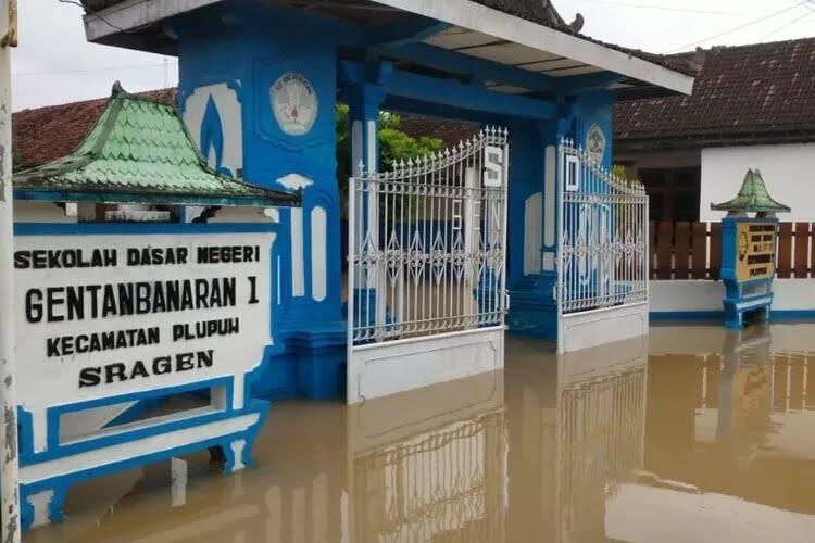 Banjir Sragen Jawa Tengah Akibat Meluapnya Bengawan Solo, Rendam 1.203 hektare sawah