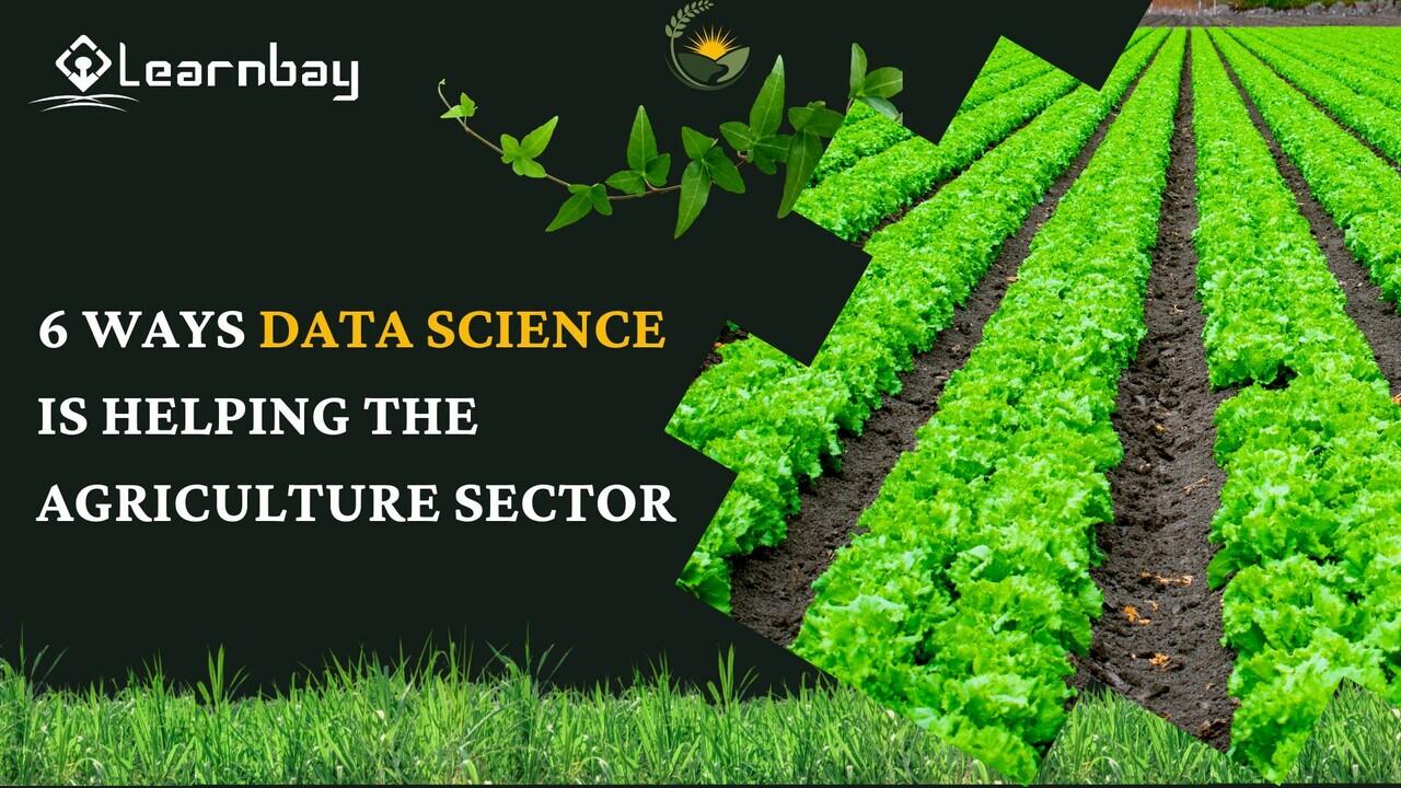 6 Ways Data Science is Helping the Agriculture Sector