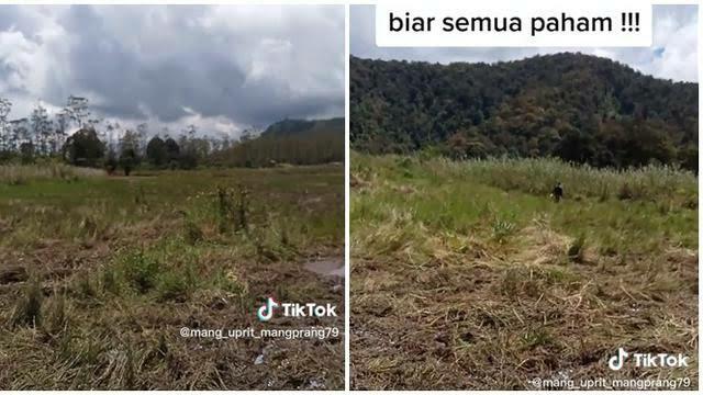 Event Motor Trail Rusak Ribuan Bunga Edelweis di Ranca Upas, Salah Siapa Nih?