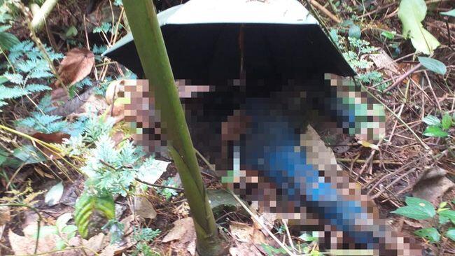 Mayat Wanita Tinggal Tengkorak Ditemukan di Gunung Salak Bogor