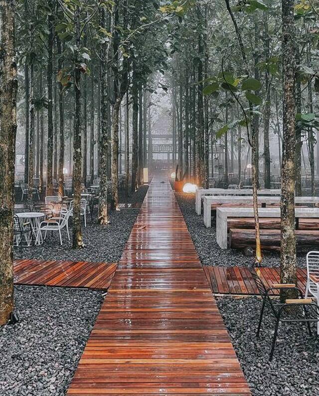 Jokowi ada di Bogor !! di Bogor ada Warung Kopi Nako.Viral Oh Noo !!