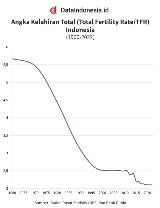 Berapa Besar Kemungkinan Indonesia akan Mengalami Krisis Kelahiran?