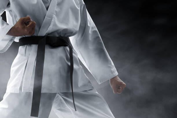Macam-macam Aliran Karate di Indonesia dan Pengenalan Dasar
