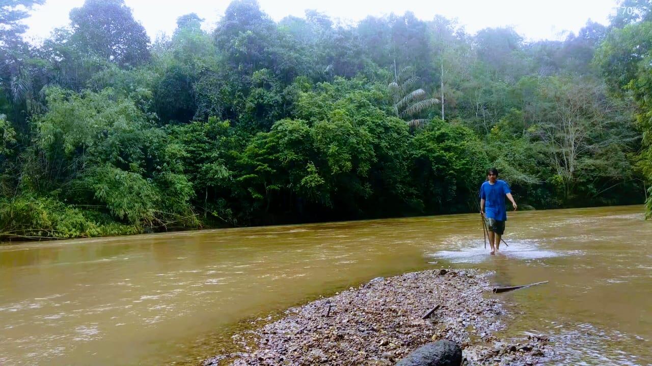 Pengalaman Pertama Bikin Video Tidur di Hutan Sendirian