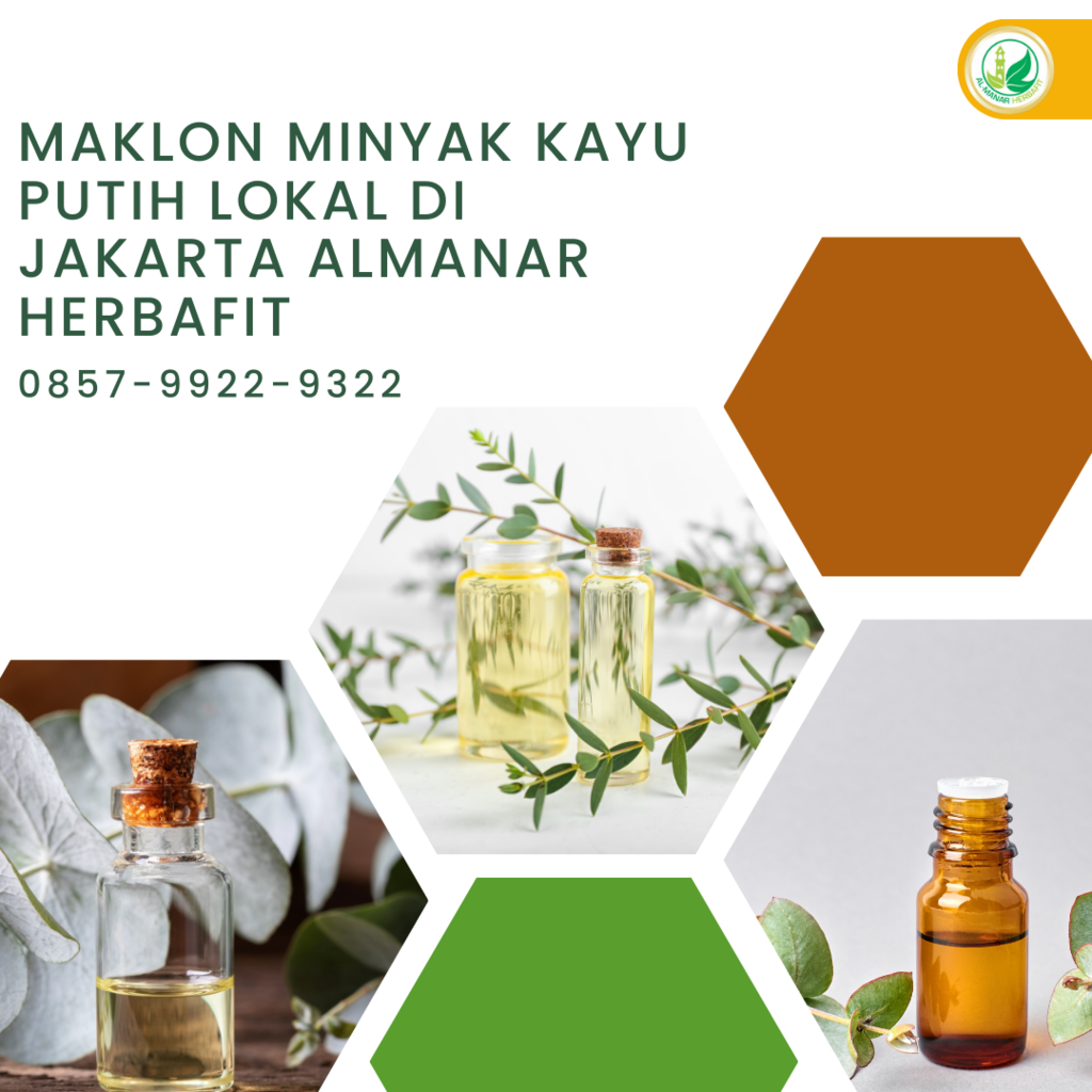 Maklon Minyak Kayu Putih Lokal Di Jakarta Almanar Herbafit