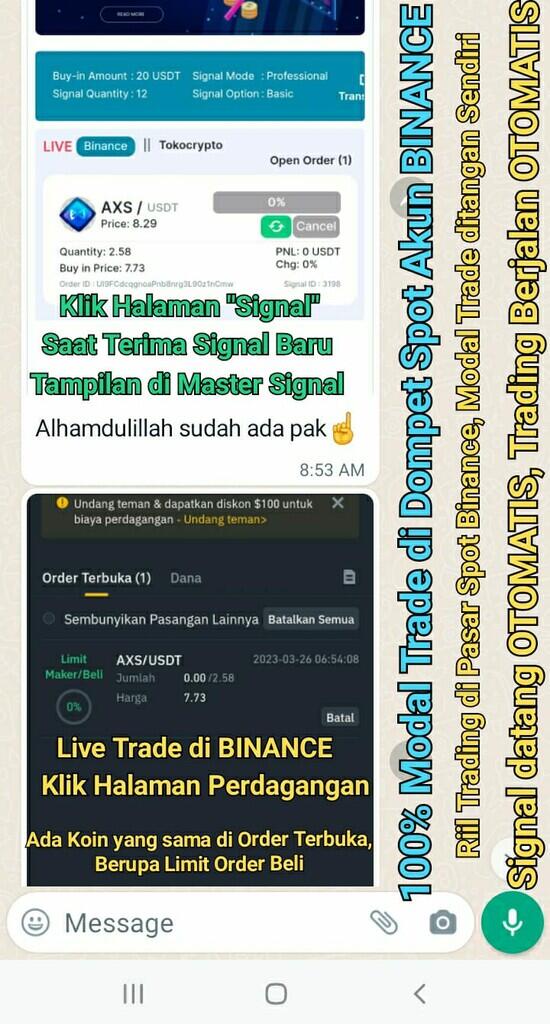 Auto Trading Bidbox Solusi Sukses Cepat Cocok Buat Pemula