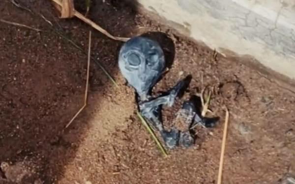 Mayat Mini Misterius Ditemukan di Bolivia, Alien atau Jenglot?