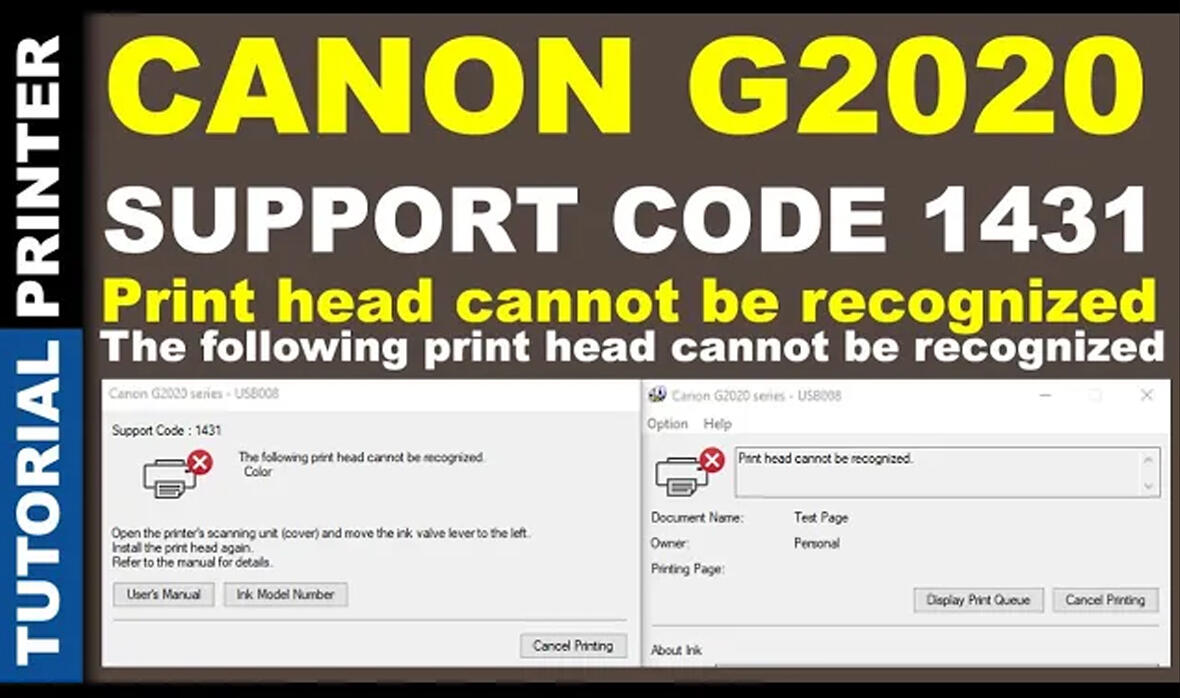 canon g2020 error 1431