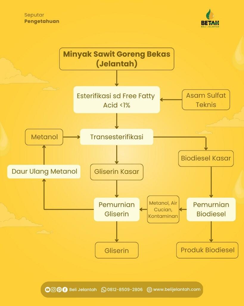 Bahayakah Minyak Jelantah Bagi Kelangsungan Hidup?