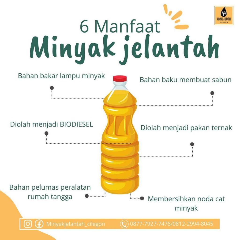 Bahayakah Minyak Jelantah Bagi Kelangsungan Hidup?