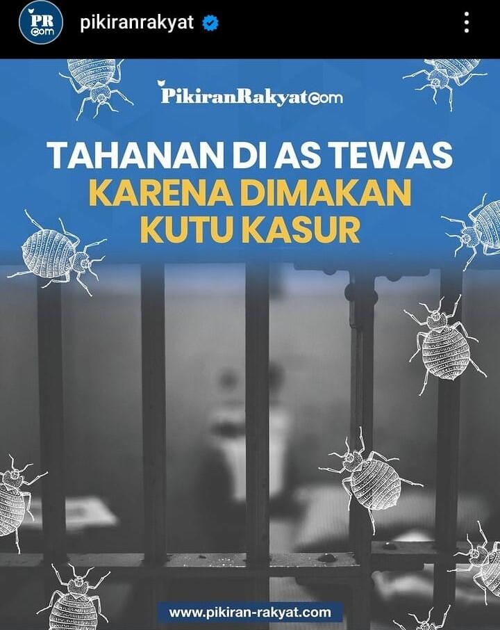 Apa Iya Kutu Kasur Bisa Menyebabkan Orang Meninggal?