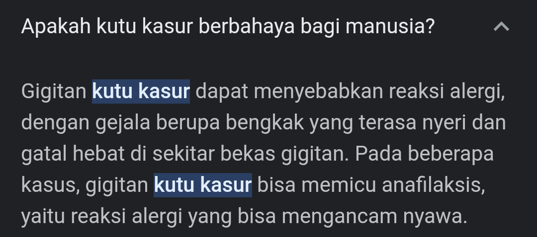 Apa Iya Kutu Kasur Bisa Menyebabkan Orang Meninggal?