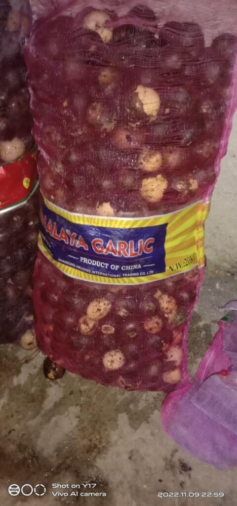 menjual biji Alpukat Tuk Pembibitan