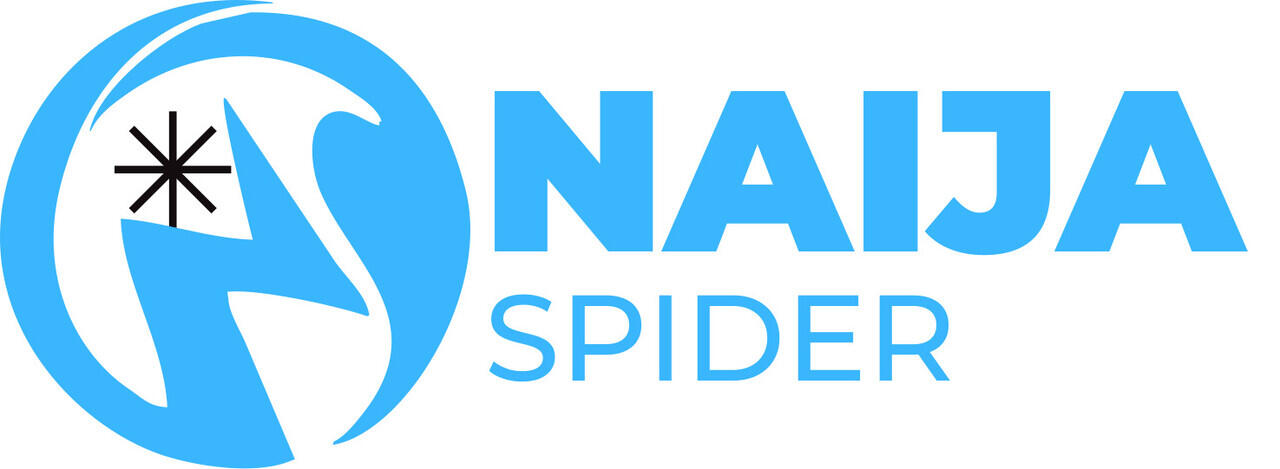 NaijaSpider, Online Marketplace Flags Off Operations in Nigeria