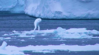 Ningen Sosok Misterius dari Antartika, Suku Bangsa Manusia yang Hilang?