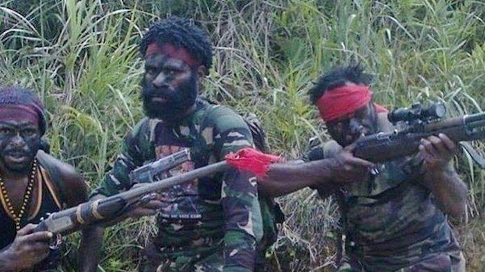 KKB Papua Terpecah Belah, Dua Kubu KKB Saling Tembak! Ternyata Ini Sebabnya!