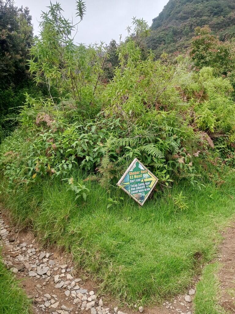 Gokilnya Jalur Menuju Kawah Gunung Papandayan