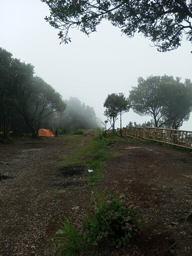 Gokilnya Jalur Menuju Kawah Gunung Papandayan