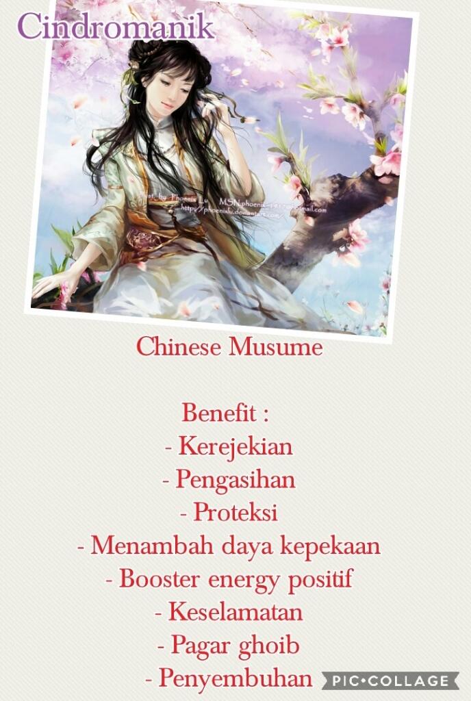 Lelang Singkat Murah Meriah | Cindromanik | Non Vessel