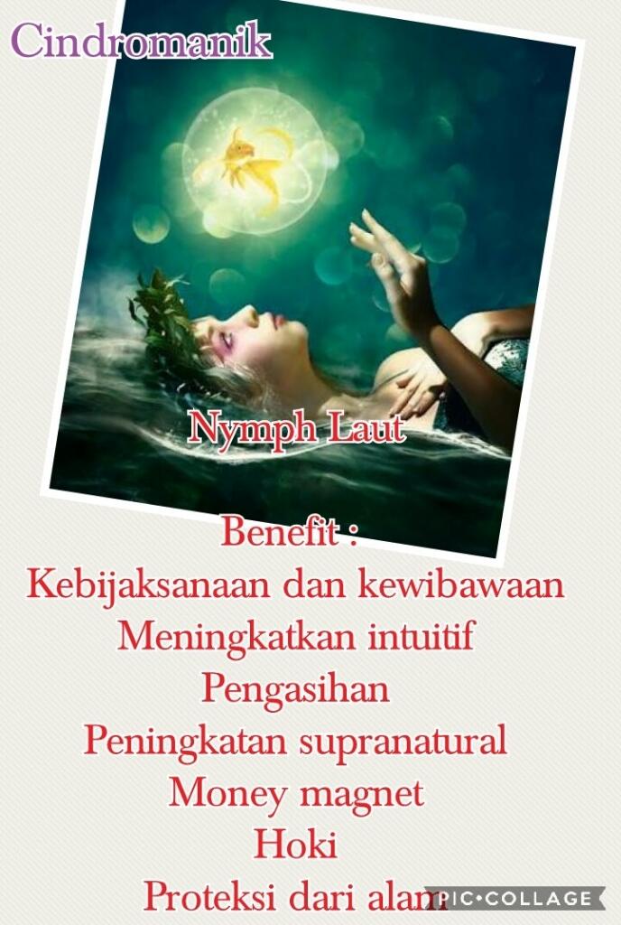 Lelang Singkat Murah Meriah | Cindromanik | Non Vessel