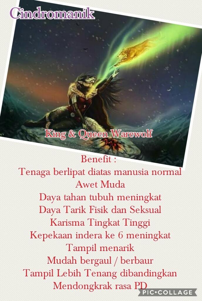 Lelang Singkat Murah Meriah | Cindromanik | Non Vessel