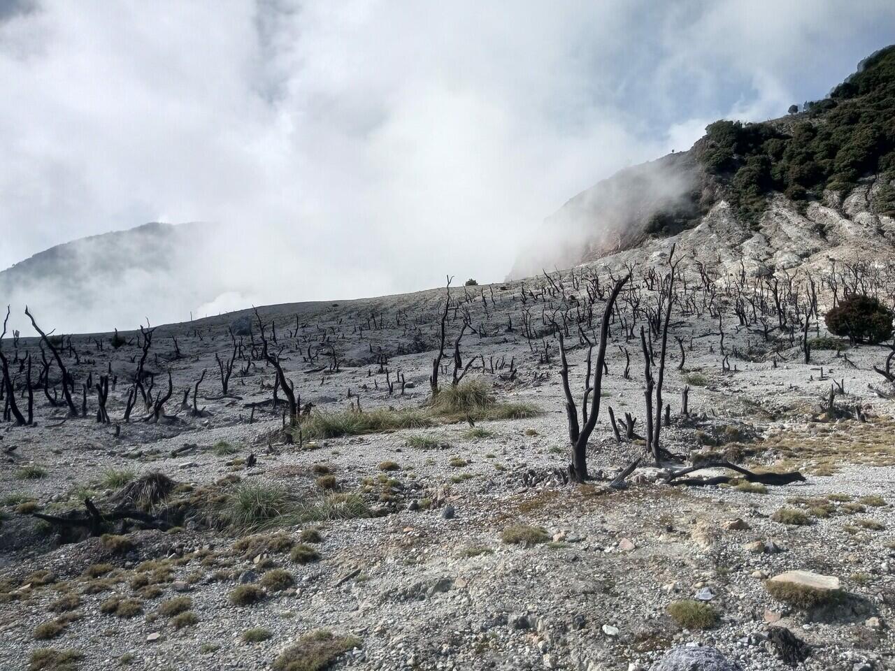 Gokilnya Jalur Menuju Kawah Gunung Papandayan