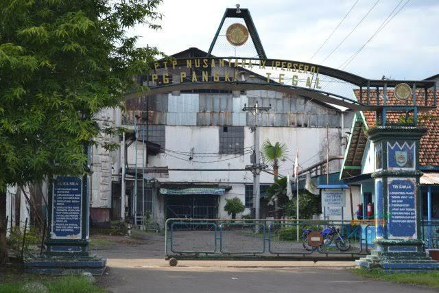 Sepanjang Jalan Kenangan, Lagu Syahdu Pelipur Lara Hati Junaedi Mengingat Masa Kelam