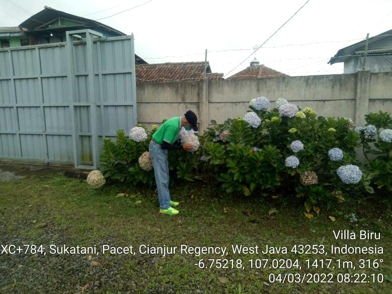 Villa Biru Tempat Recommended untuk Healing dan Edukasi Pertanian